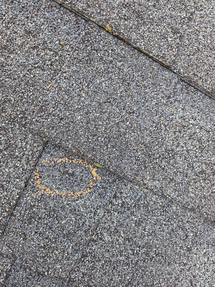 Slide of T's Property Care