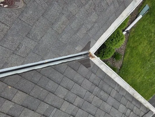 T's Property Care Logo