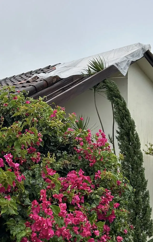 Slide of T&S Roofing Systems