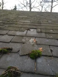 Top-rated residential roofing service near you in Forest Hill, MD by TSW Roofing Solutions