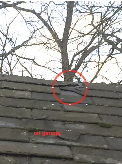 Reliable roof installation with free inspection across Forest Hill, MD - TSW Roofing Solutions