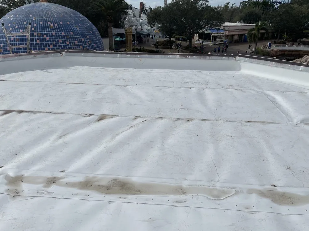 Slide of Tu Mejor Techo