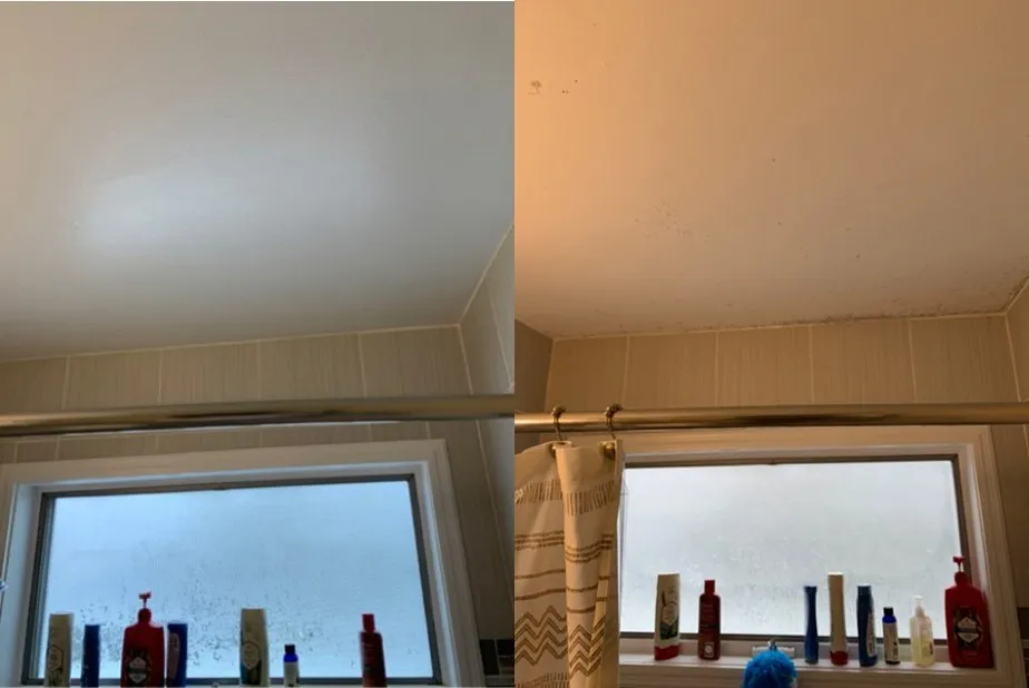 Slide of Tucci Builders