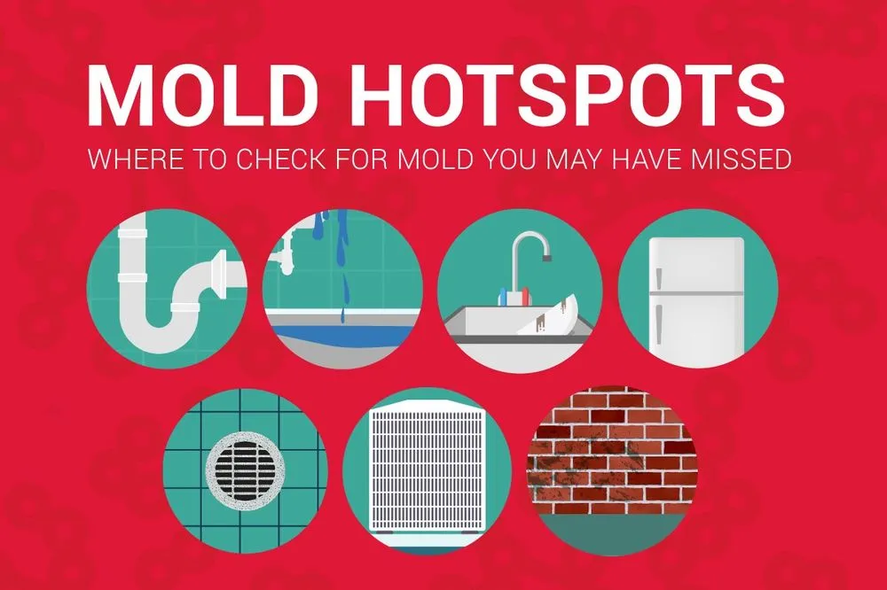 Slide of Tucci Builders