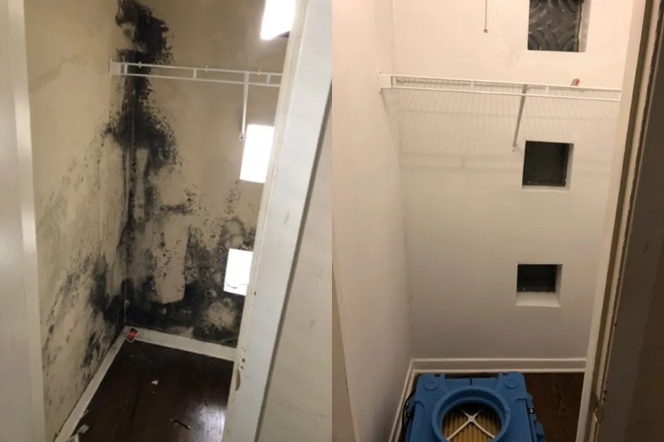 Slide of Tucci Builders