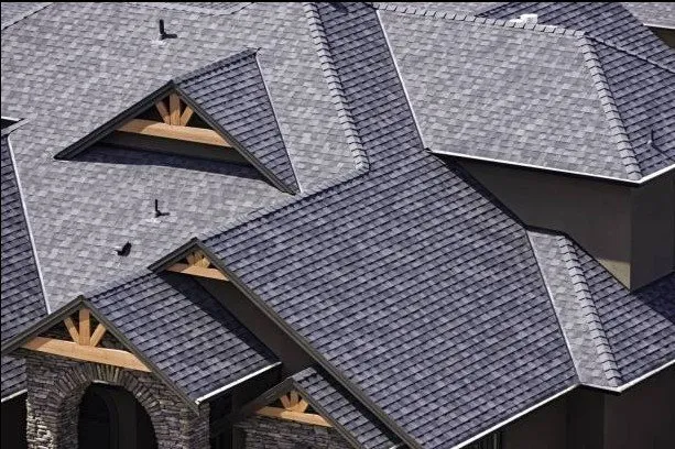 Slide of Tucek and Sons