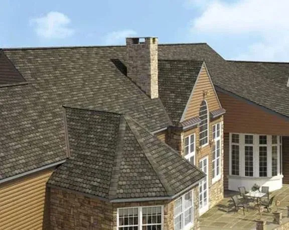 Slide of Tucek and Sons