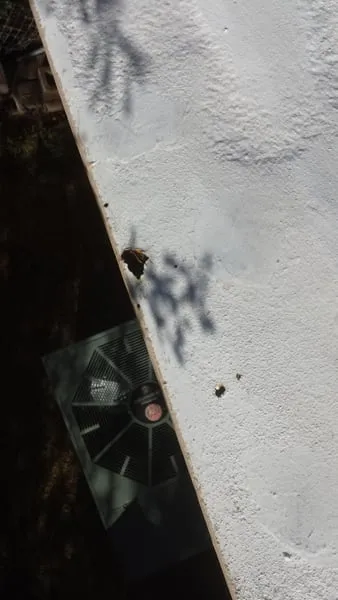 Slide of Tucson Roof Coatings