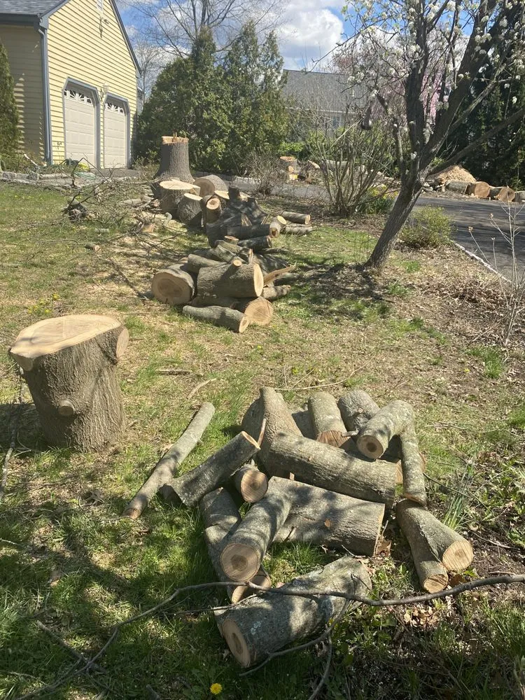 Slide of Tulandscaping