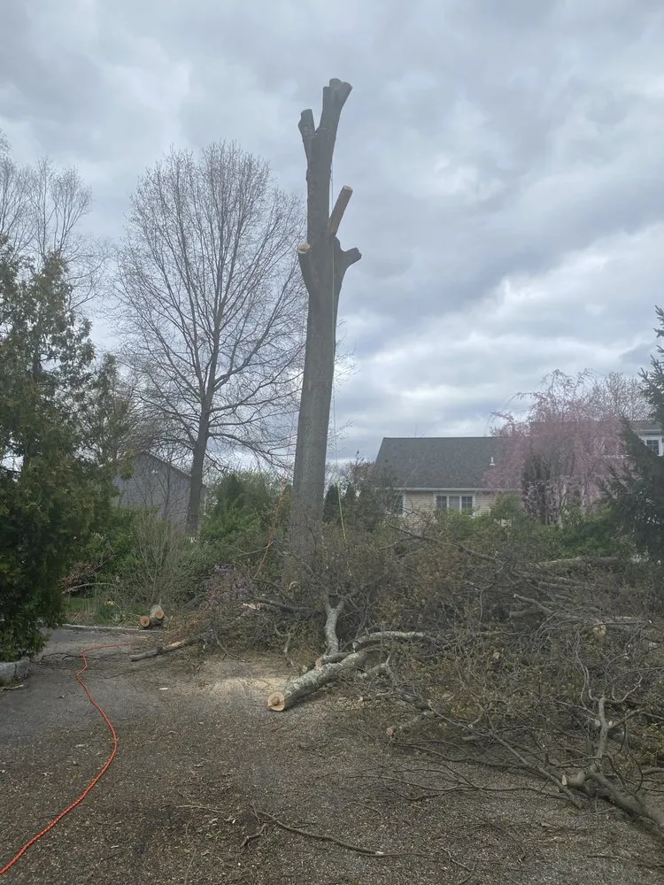 Slide of Tulandscaping