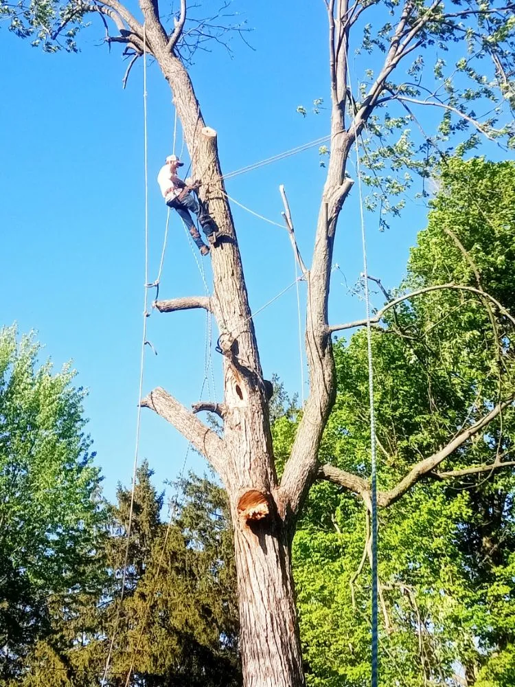 Slide of Turner & Sons Construction and Tree Services