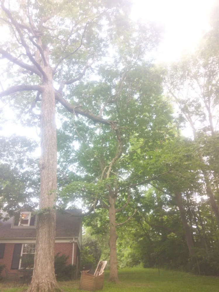 Slide of Turner & Sons Construction and Tree Services