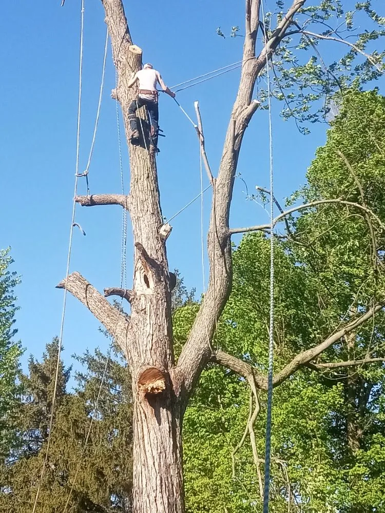 Slide of Turner & Sons Construction and Tree Services