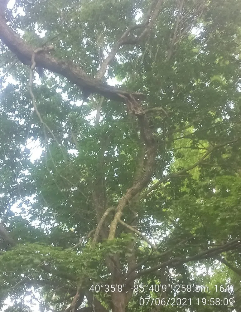 Slide of Turner & Sons Construction and Tree Services