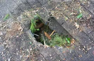 Slide of Turnkey Roofing of Fort Myers