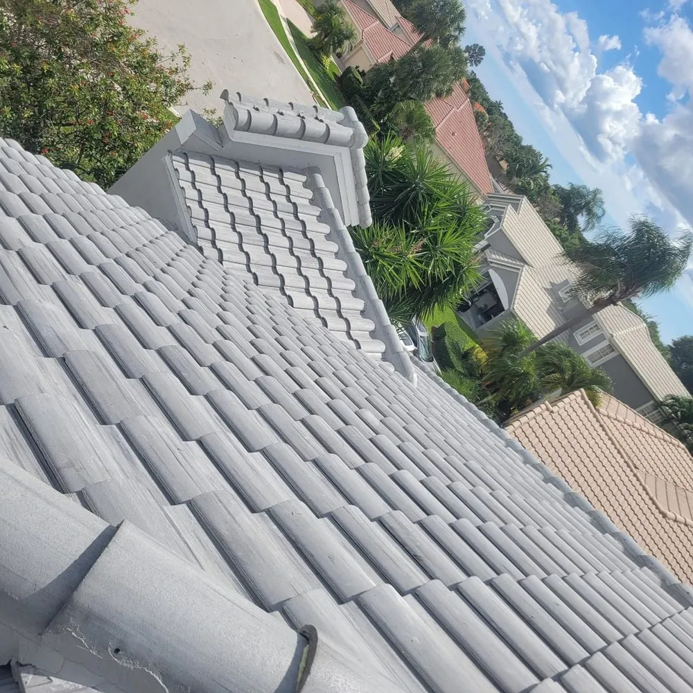 Slide of Turtle Roofing