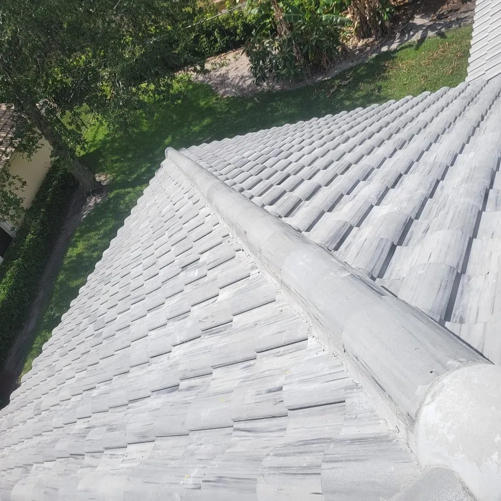 Slide of Turtle Roofing