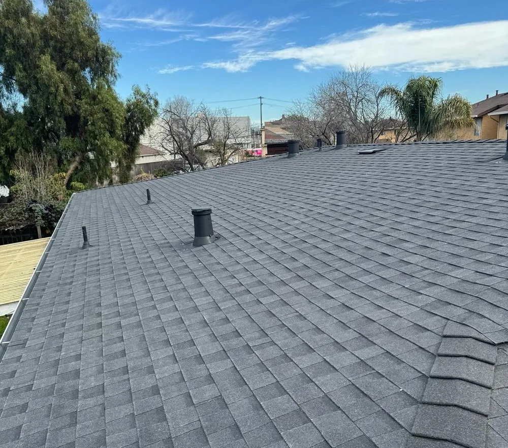 Slide of Turtle Roofing