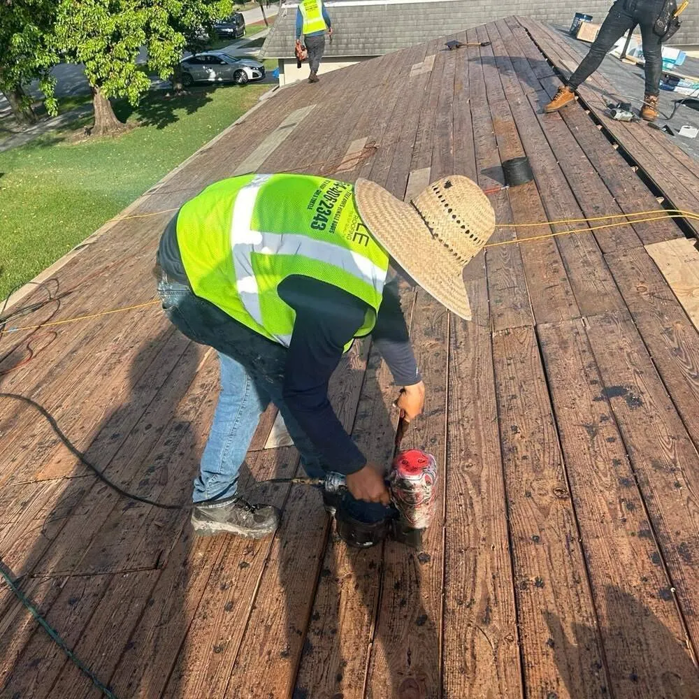 Slide of Turtle Roofing