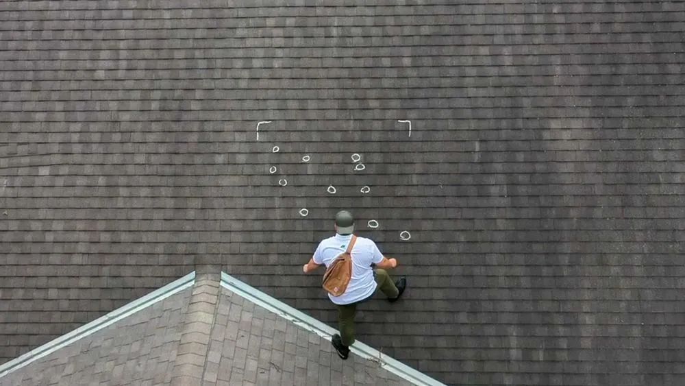 Slide of Turtle Roofing