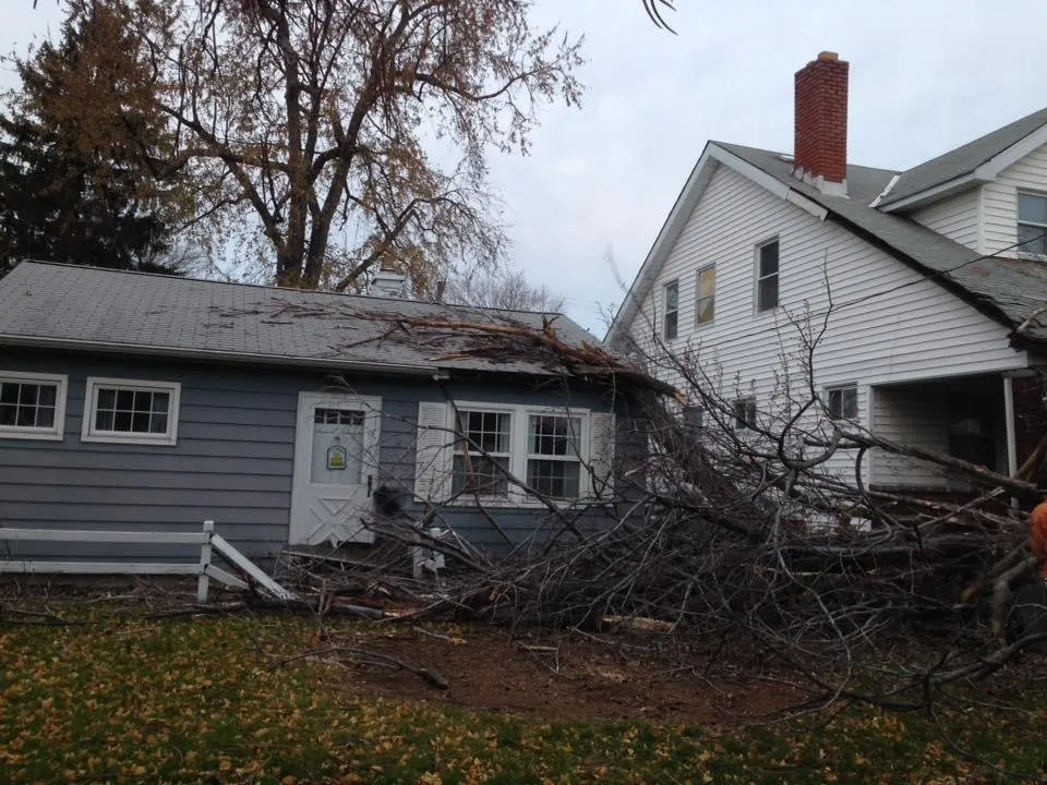 Slide of Twin Improvements