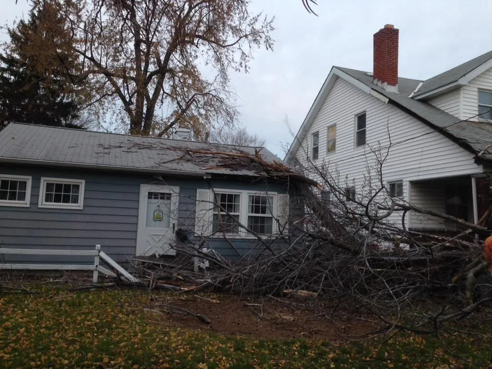 Slide of Twin Improvements