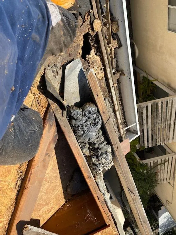 Slide of TWM Roofing