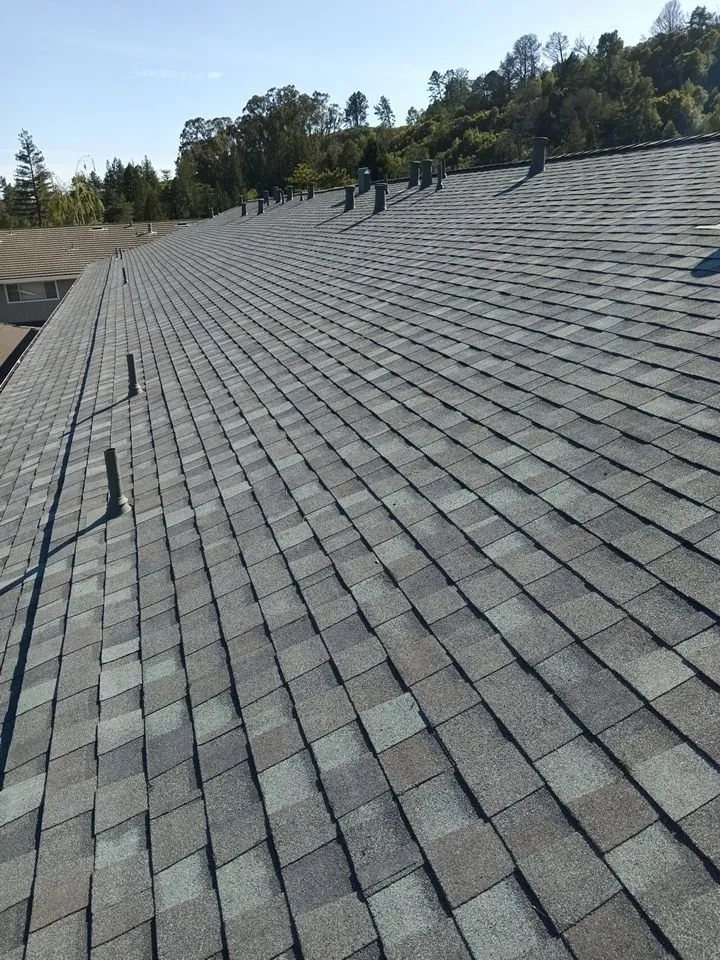 Slide of Two Brothers Roofing