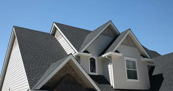 Two Four Exteriors Logo