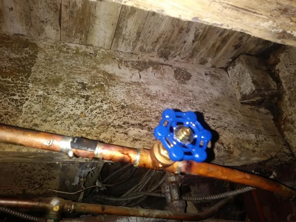 Slide of Two Kings Remodeling & Wcp Roofing