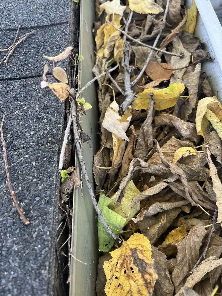 Slide of Two Men and a Gutter