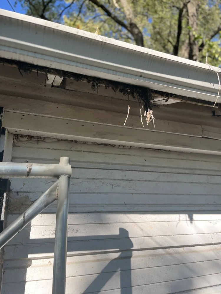Slide of Two Men and a Gutter