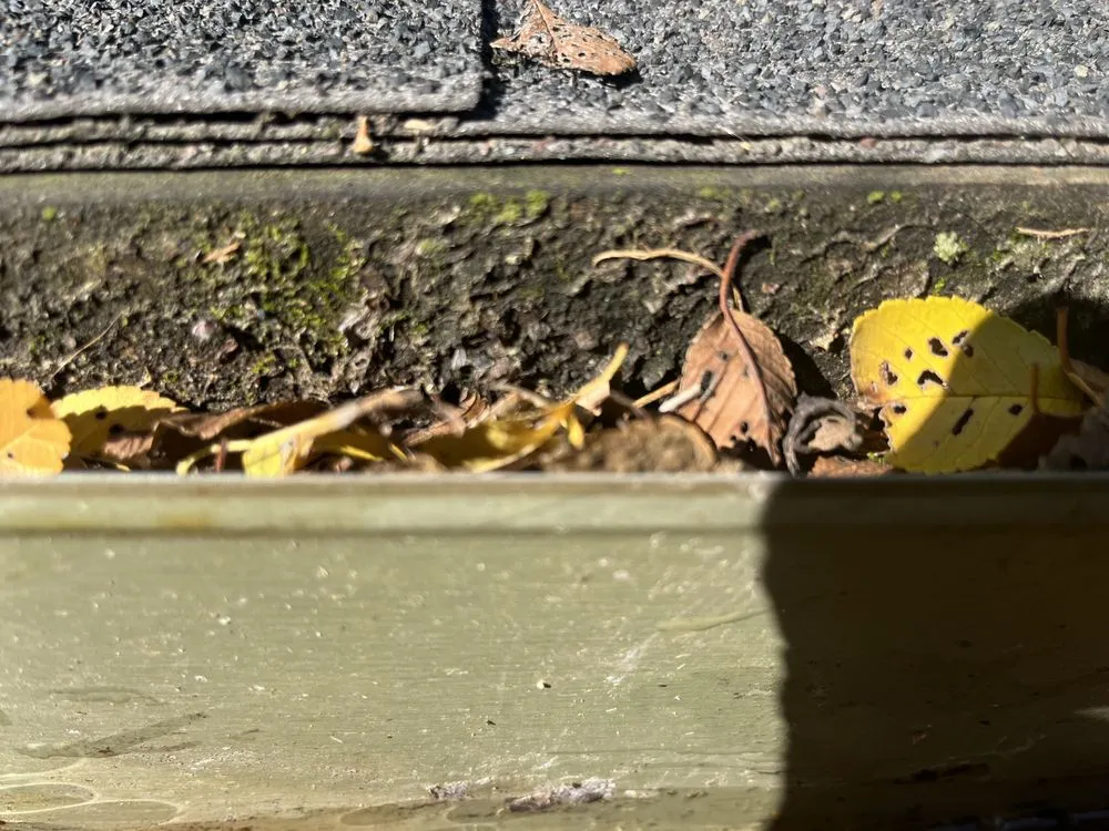 Slide of Two Men and a Gutter