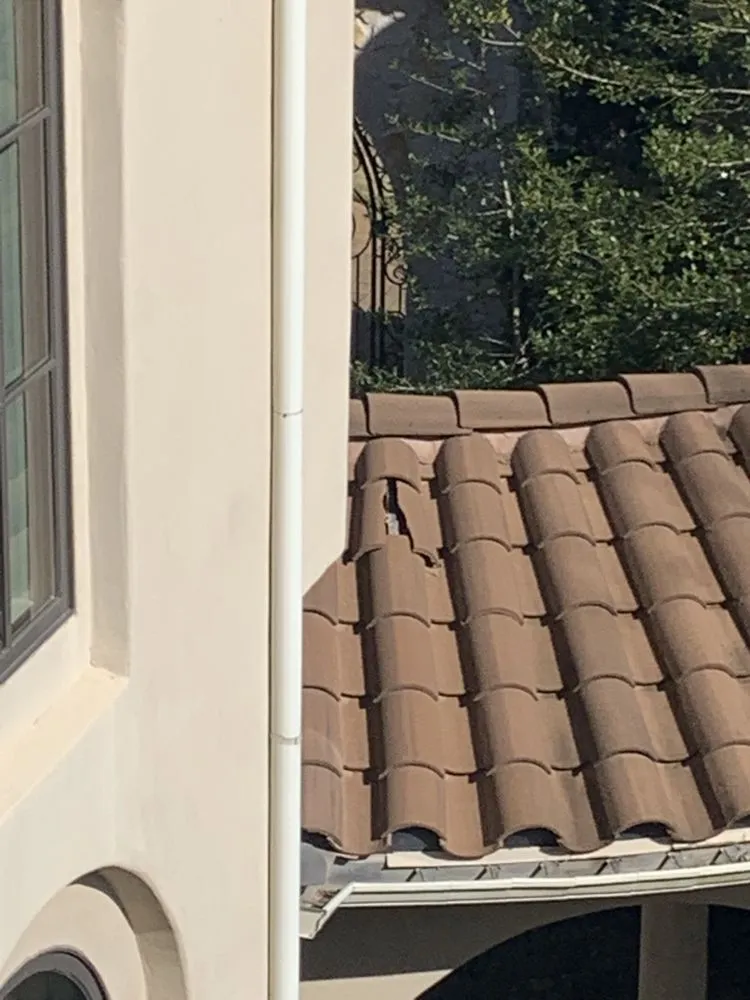 Slide of TX Elite Roofing & Rodent Exclusion Services