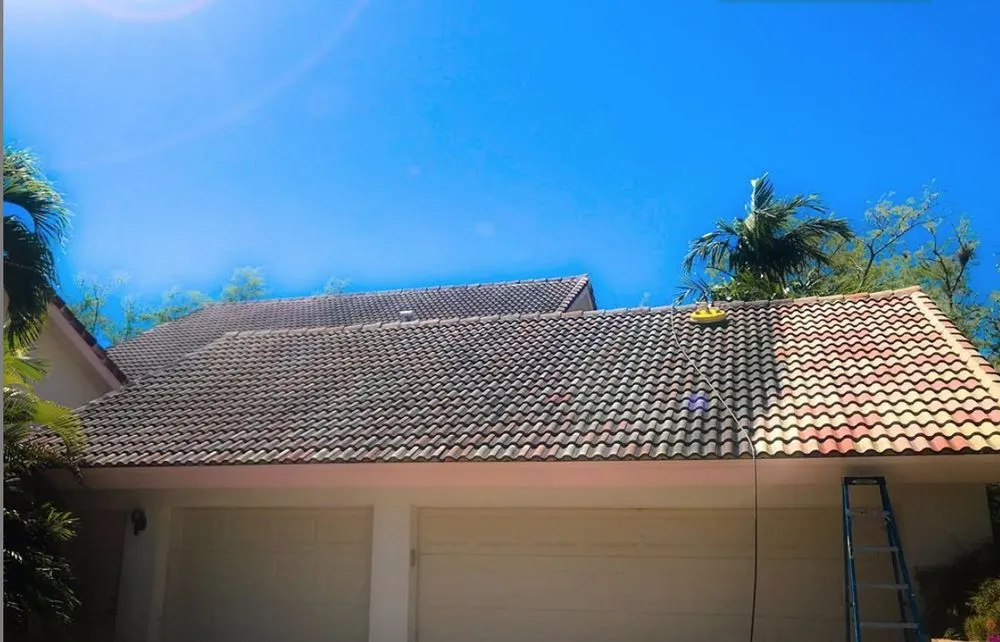 Slide of TY Constructions