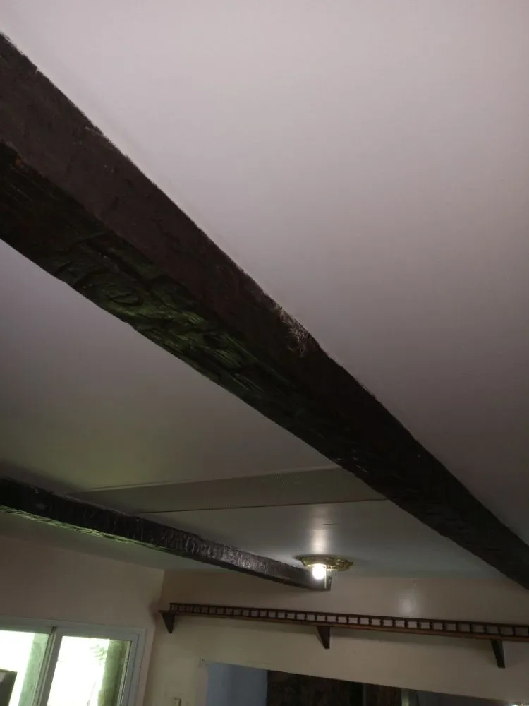 Slide of Tyler Scott's Handyman