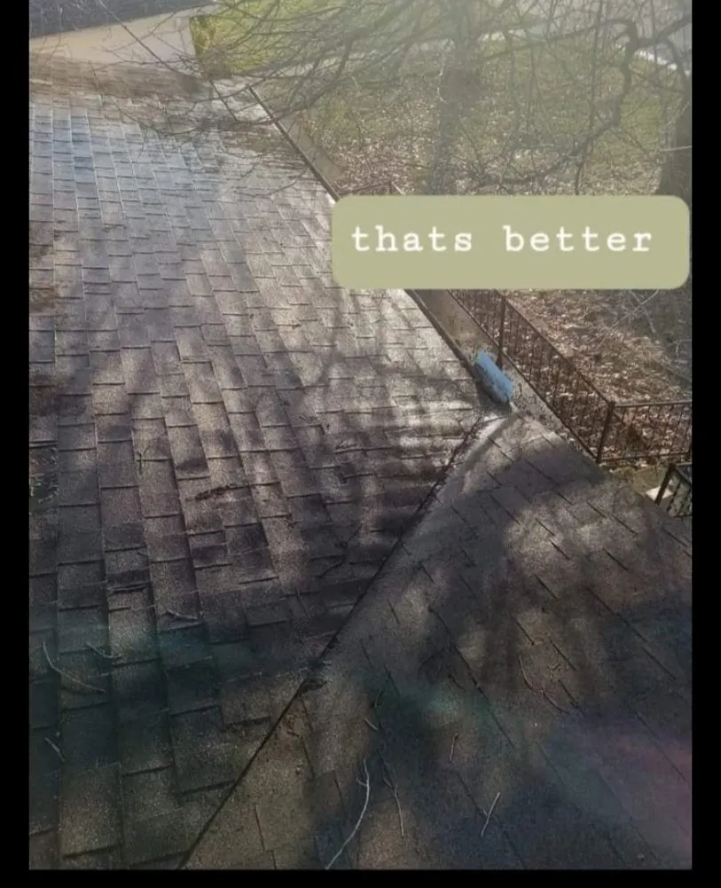 Slide of Tyler Scott's Handyman