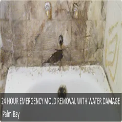 Slide of Uac Water Damage Palm Bay