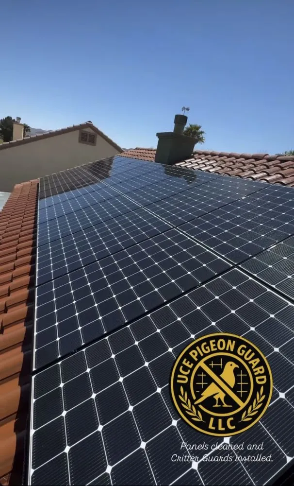 Slide of Uce Pigeon Guard