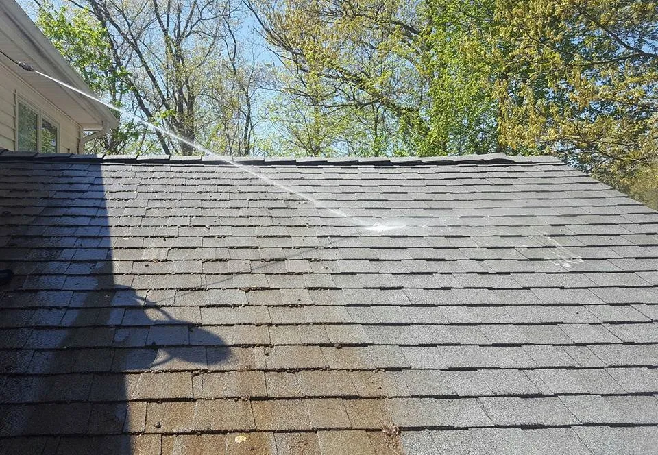 Slide of Ugly Roof Doctor