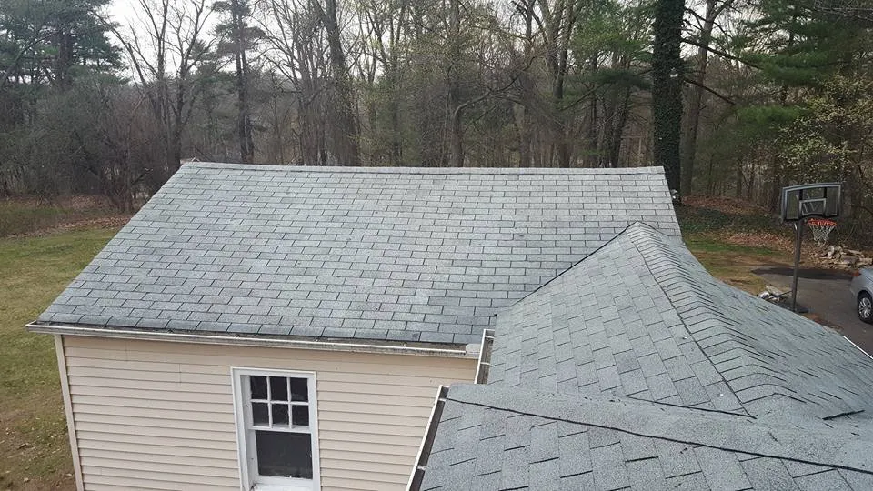 Slide of Ugly Roof Doctor