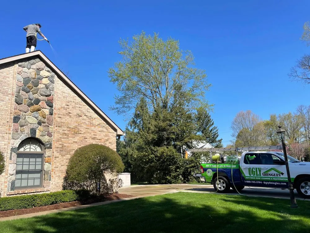 Slide of Ugly Shingles