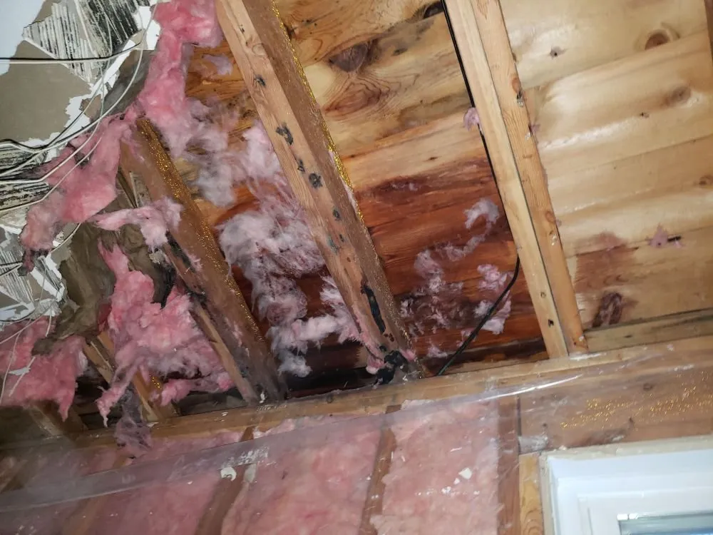 Slide of Ultimate Construction