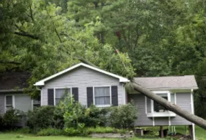 Slide of Ultimate Exteriors