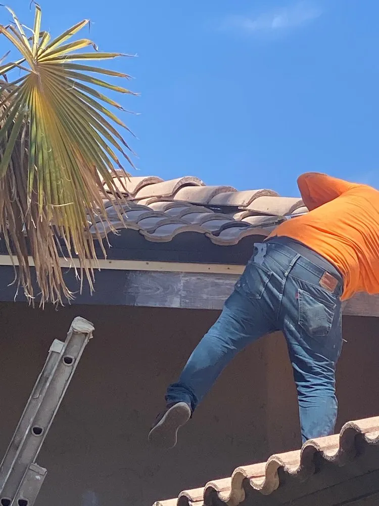 Slide of ULTRA IMPROVEMENTS--Painting & Roofing