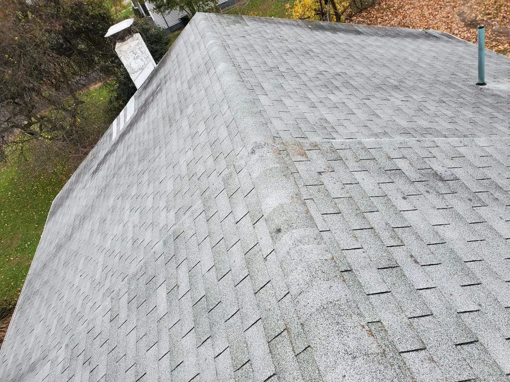 Slide of Umbrella Roof