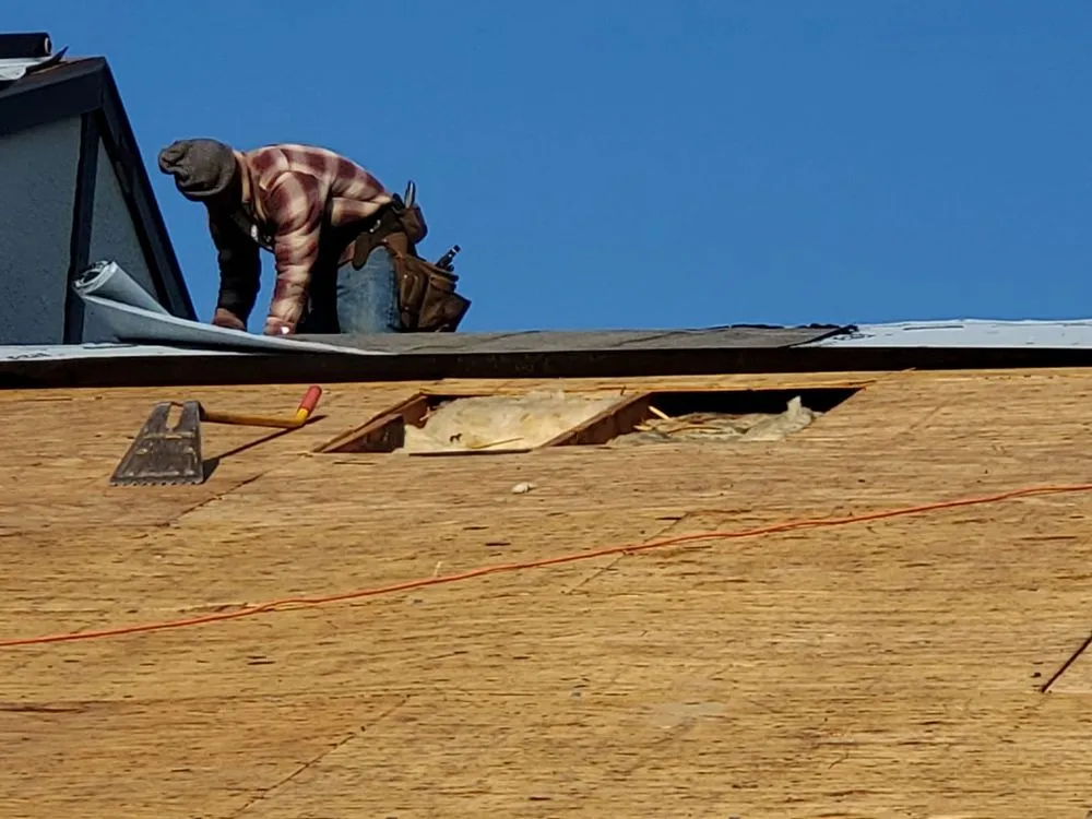 Slide of Umbrella Roof