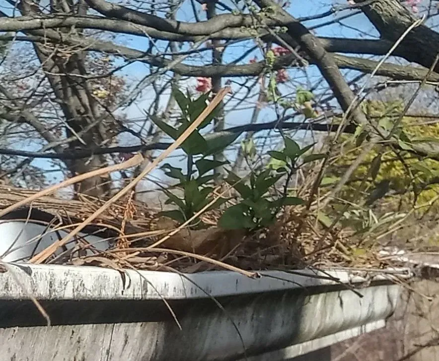 Slide of Under 1 Roof