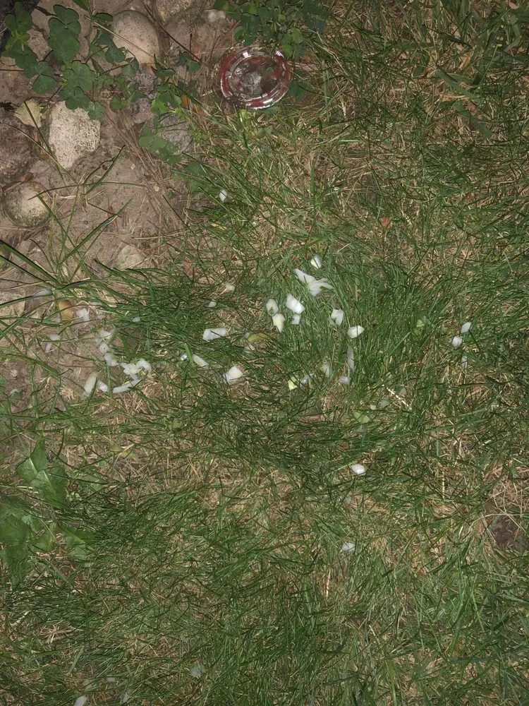 Slide of Under 1 Roof