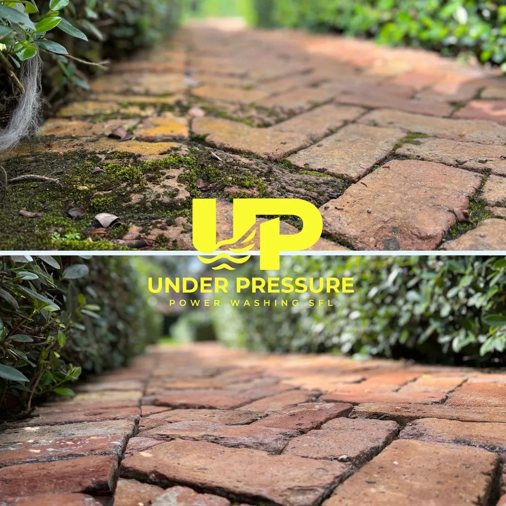 Slide of Under Pressure Power Washing SFL